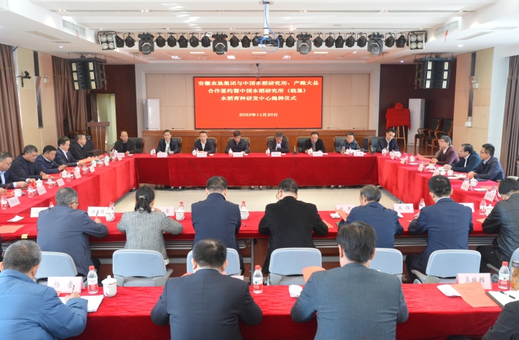 安徽省農(nóng)墾集團與中國水稻研究所、產(chǎn)糧大縣合作簽約暨中國水稻研究所（皖墾）水稻育種研發(fā)中心揭牌儀式成功舉行
